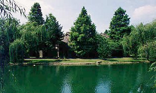 The Lake at Harper's Point